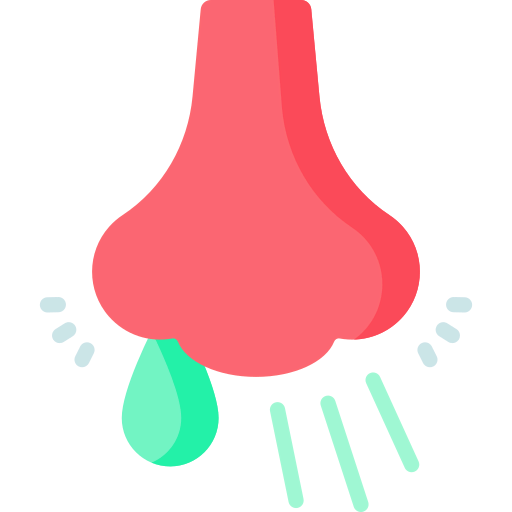 Snot icon