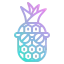 Pineapple ícono 64x64