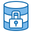 Data security Symbol 64x64