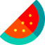 Watermelon 图标 64x64