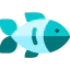 Fish 图标 64x64