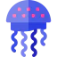 Jellyfish 图标 64x64