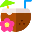 Coconut drink icon 64x64