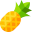 Pineapple biểu tượng 64x64