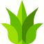 Agave biểu tượng 64x64