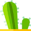 Cactus biểu tượng 64x64