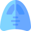 Bodyboard icon 64x64