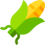 Corn biểu tượng 64x64