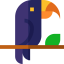 Toucan 图标 64x64