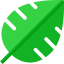 Leaf 图标 64x64