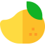 Mango 图标 64x64