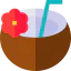 Coconut drink icon 64x64