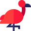 Flamingo 图标 64x64