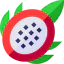 Dragon fruit 图标 64x64