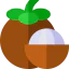 Mangosteen 图标 64x64