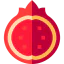 Pomegranate 图标 64x64