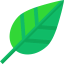 Leaf 图标 64x64