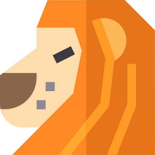 Lion 상