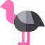 Ostrich 图标 64x64
