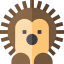 Hedgehog 图标 64x64