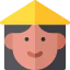 Vietnamese icon 64x64