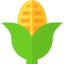 Corn 상 64x64