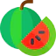Watermelon 상 64x64