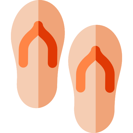 Flip flops icon