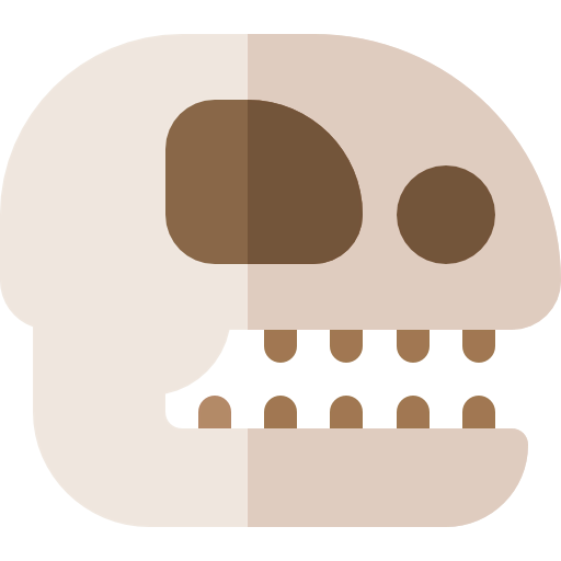 Fossil 图标