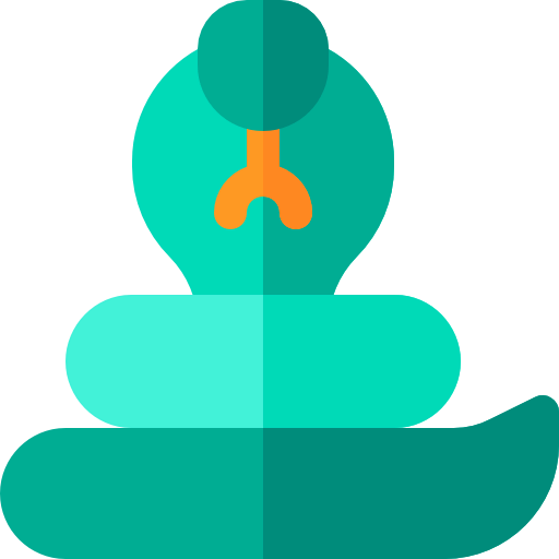 Cobra icon