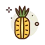 Pineapple ícone 64x64
