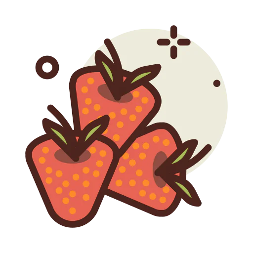 Raspberry ícono