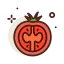 Tomato ícone 64x64