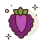 Raspberry ícono 64x64