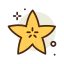 Starfruit ícone 64x64