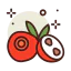 Cranberry ícone 64x64