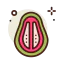 Guava ícone 64x64
