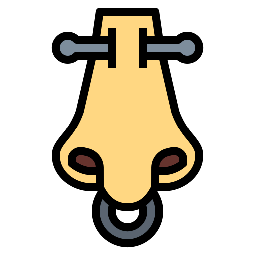 Piercing icon
