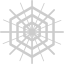Cobweb icon 64x64