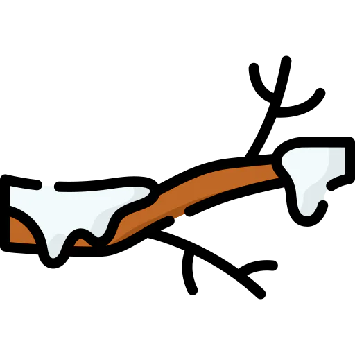 Branch icon