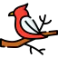 Bird icon 64x64
