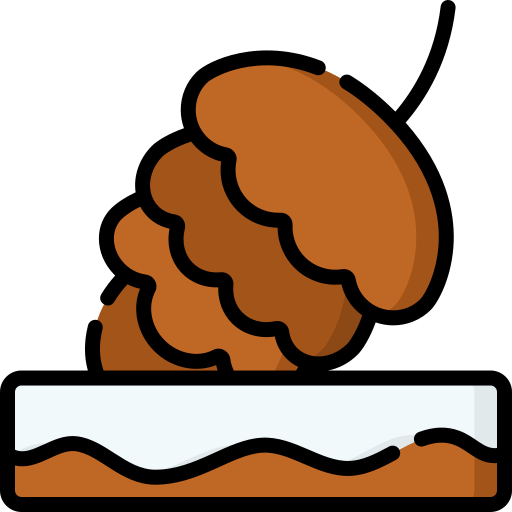 Pine cone icon