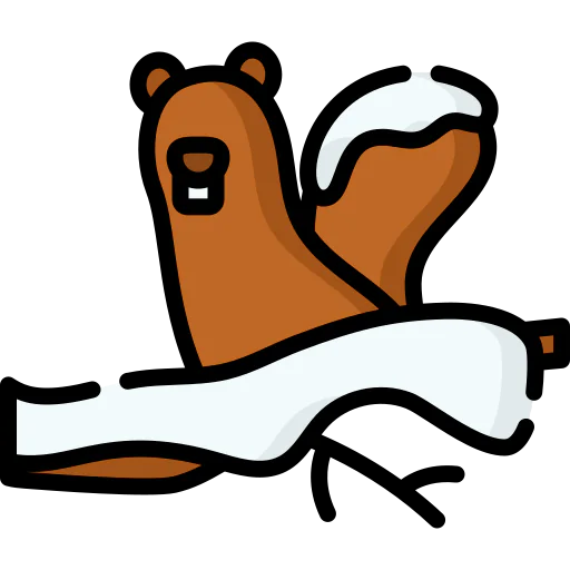 Squirrel Symbol