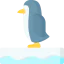Penguin icon 64x64