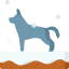 Wolf icon 64x64