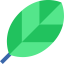 Leaf 图标 64x64