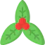 Mistletoe icon 64x64
