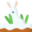 Bunny icon 64x64