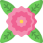 Camellia icon 64x64