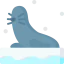 Seal icon 64x64
